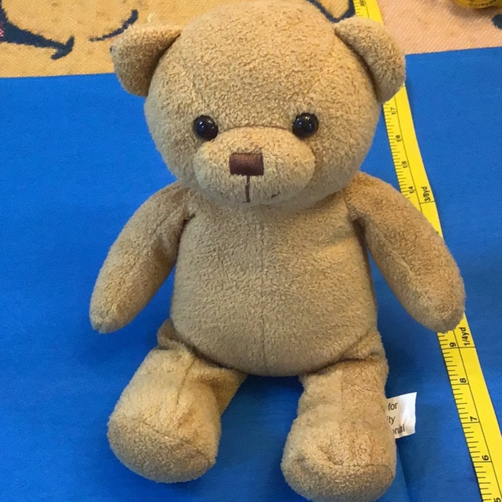 Habitat for Humanity International bear 12” Sawyer limited edition